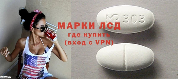 шишки Няндома