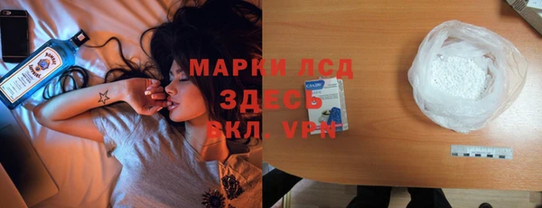 шишки Няндома