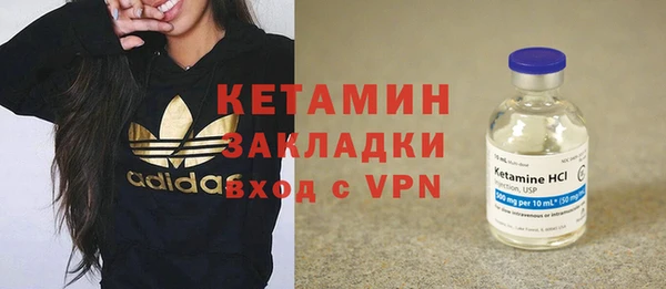 шишки Няндома