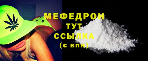 шишки Няндома