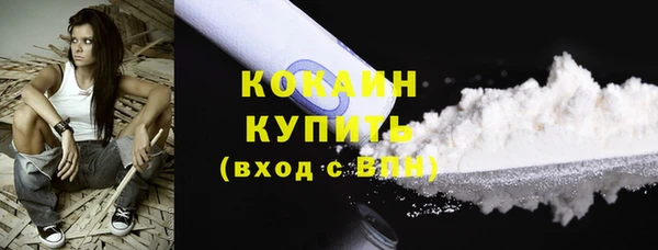 шишки Няндома
