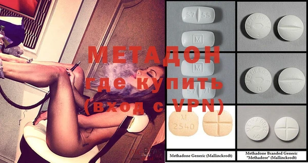 шишки Няндома