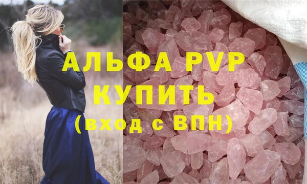 шишки Няндома