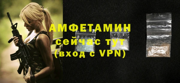 шишки Няндома