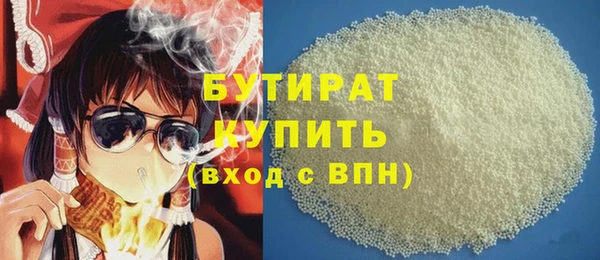 шишки Няндома