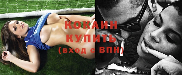шишки Няндома