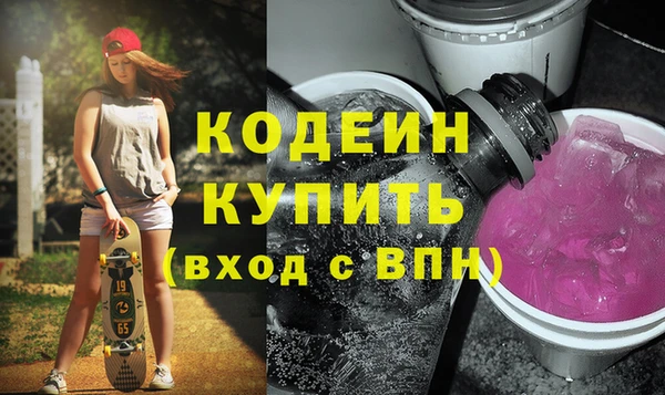 шишки Няндома