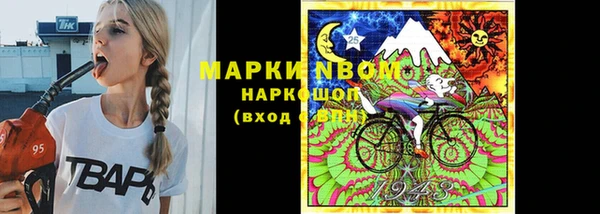 шишки Няндома
