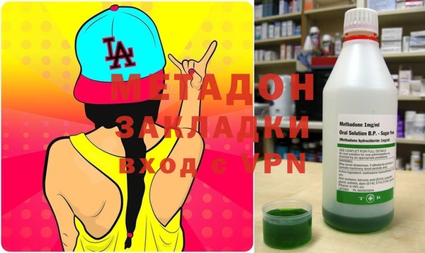 шишки Няндома