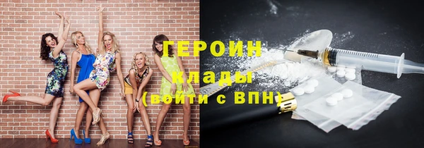 шишки Няндома