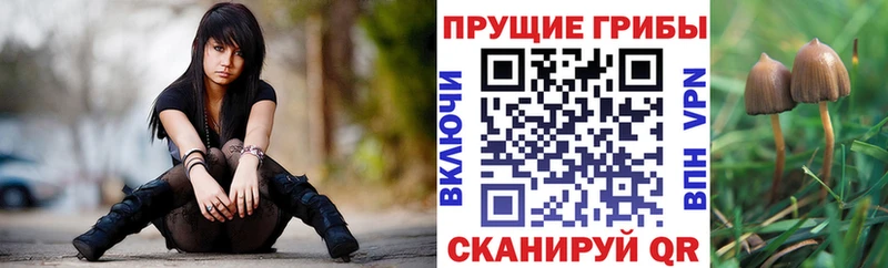 Псилоцибиновые грибы GOLDEN TEACHER  hydra как войти  Кострома 