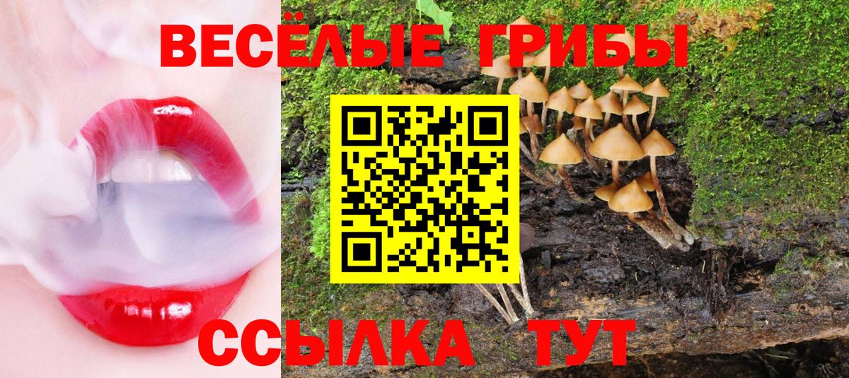 Псилоцибиновые грибы прущие грибы Кострома