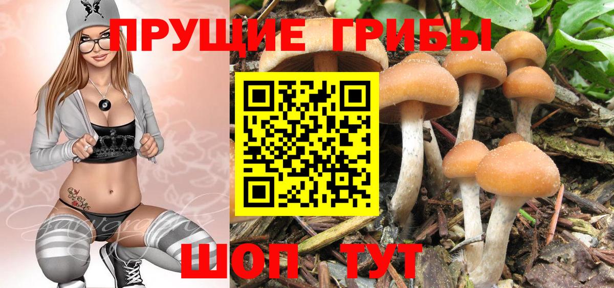 Кострома  Галлюциногенные грибы мухоморы  Вход с VPN 